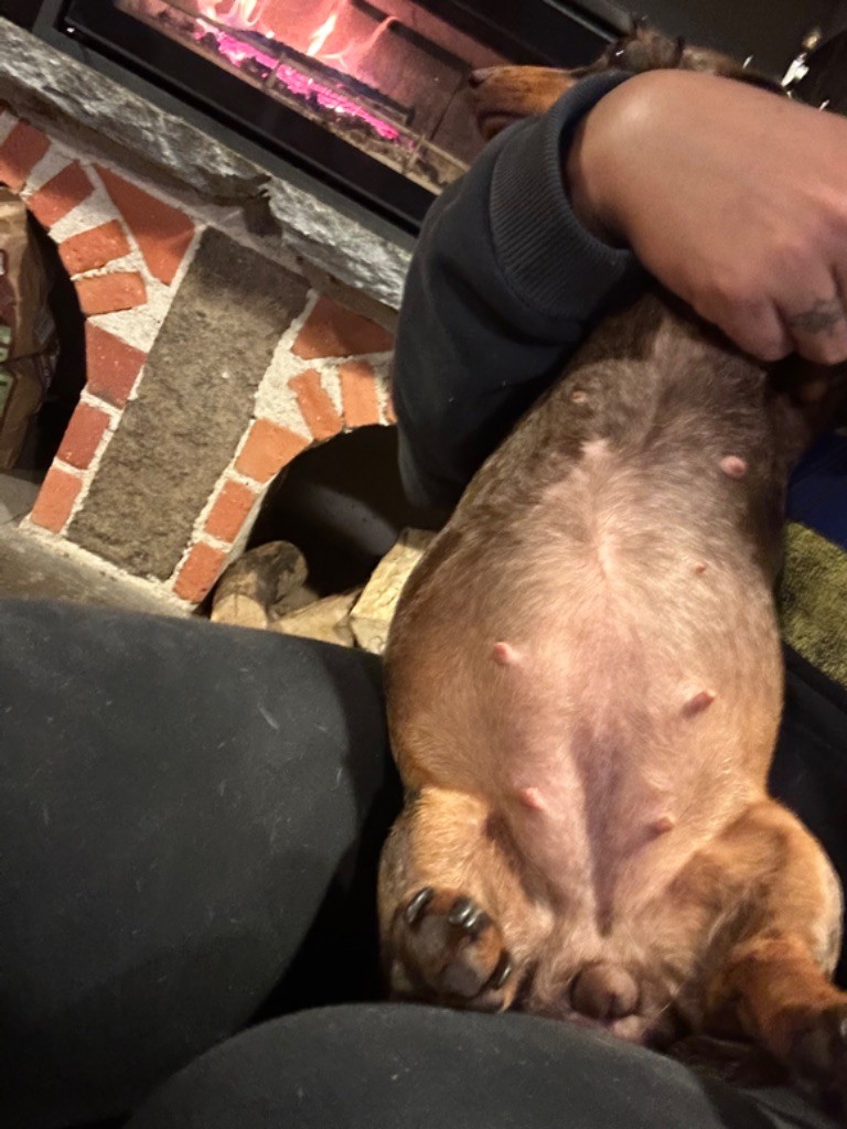 Et encore des bébés