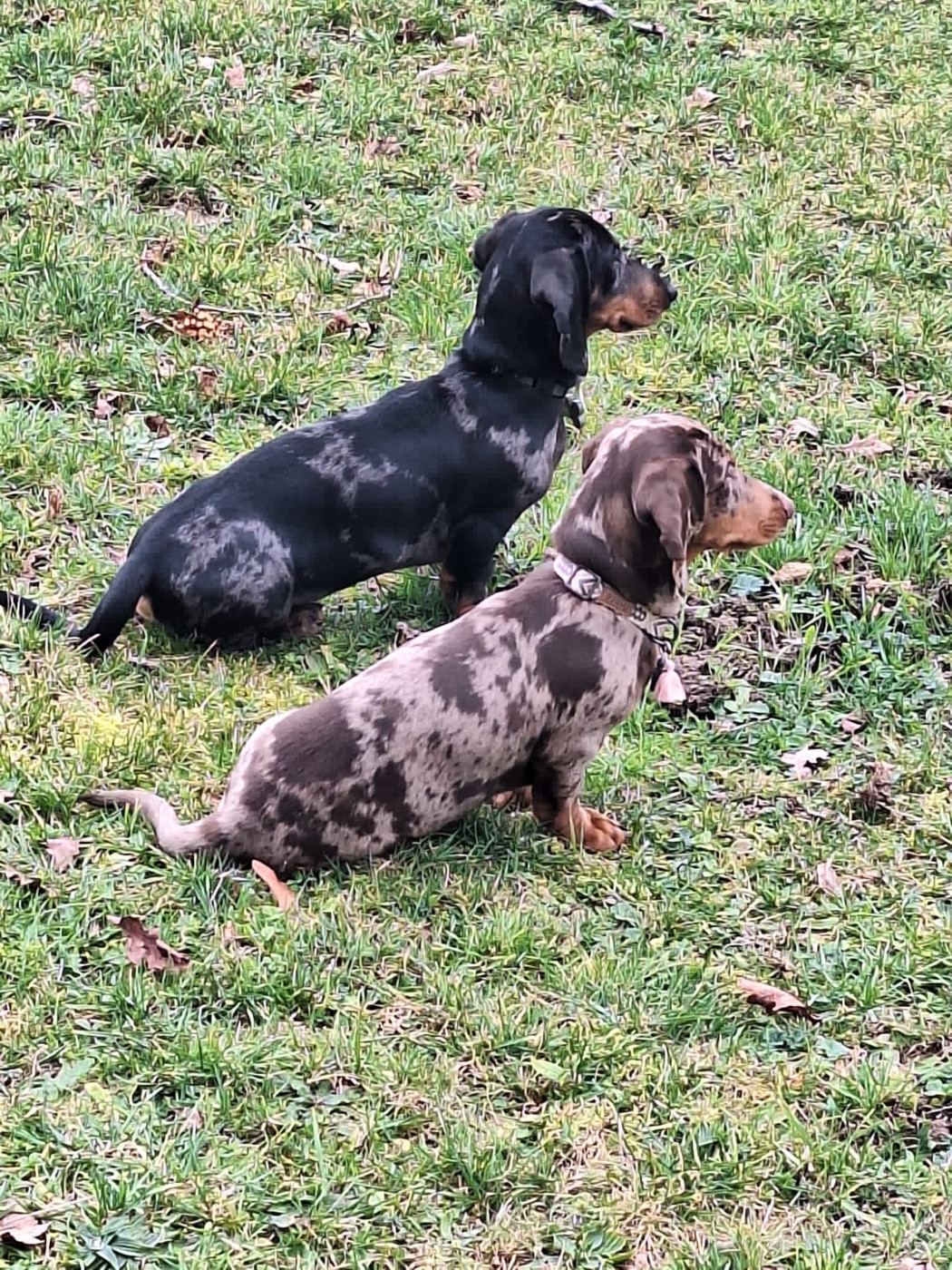 Echantillon de 2025 ! Que de merveilles